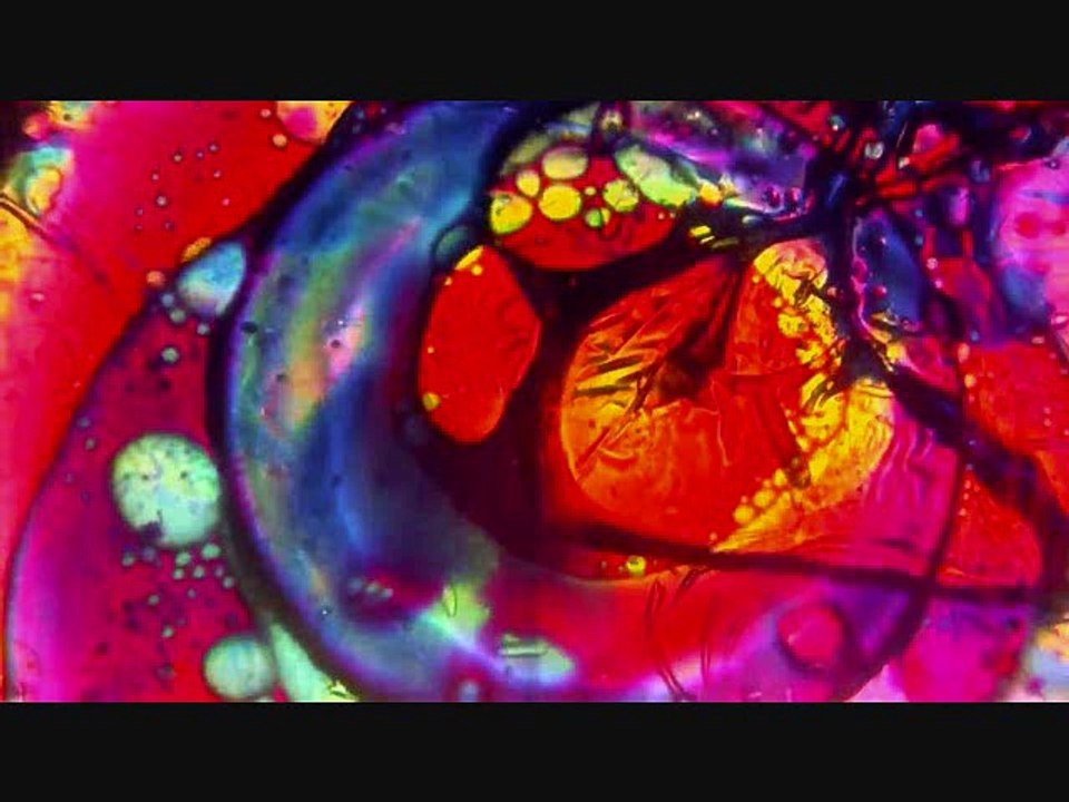 Never Comin' Back by The Mariachis Gringos