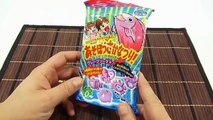 Kracie Asobo Sakana Tsuri Japanese DIY Kit - I Go Gummy Fishing!