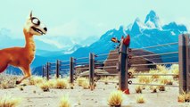 3D Cartoon Animated Short Film - Caminandes Movie - Gran Dillama-ogincsTQbbM
