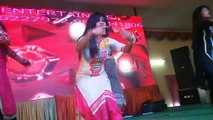 Tanu Brar Group Beautiful and Hot Orchestra Dancers