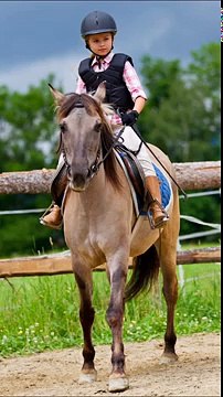 Pekbok för Småbarn - Recension och Preview -Djur - Animals - App For Kids Game