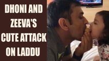 MS Dhoni shares a video of daughter Zeeva fighting for Besan Laddoo with him in cute video