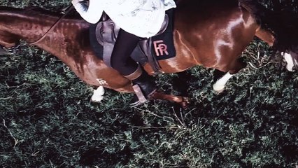 ABERTURA Série "A Herança"