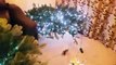 PUTTING LIGHTS ON MY CHRISTMAS TREE | DECK THE HALLS PT2