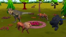 Animals Cartoons Ringa Ringa Roses Rhymes _ Lion Tiger Dinosaurs King kong Nursery Rhymes-qh6FY4Q1a5s