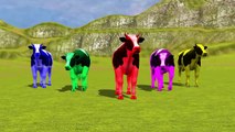 Domestic Animals Finger Family Rhymes with Cow _ Farm Animals Cartoon 3D Rhymes for Children-FrbbAGjo99Q