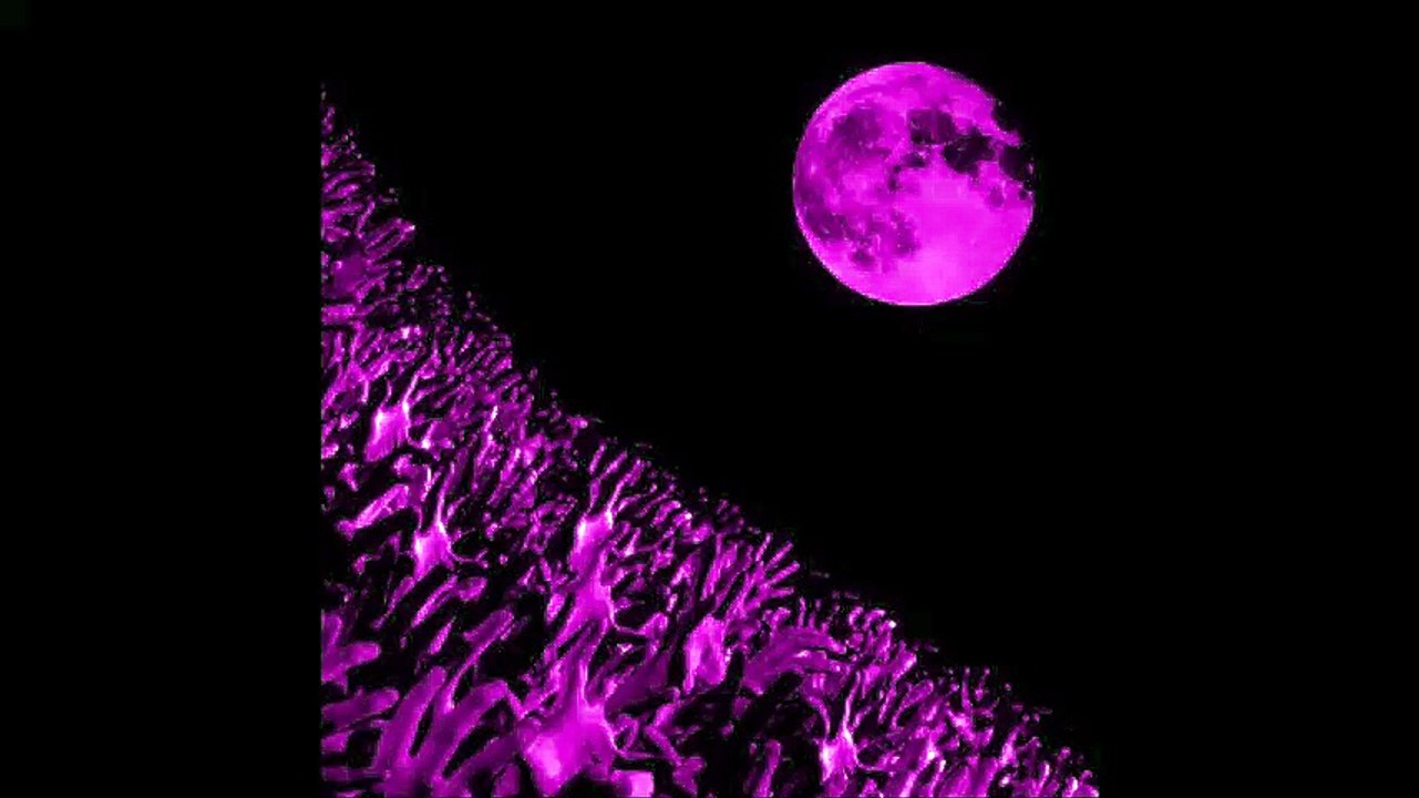 Muse - Sing for Absolution, Angers Amphitheatre, 11/08/2003