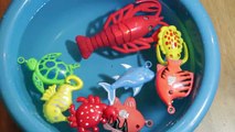 Fishing Game Toy Lets Go Fishin Fishing Pêche 釣りゲーム 낚시 게임 Juego de Pescar Toy Videos