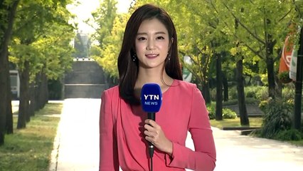 [날씨] 맑고 선선한 가을...노랗게 물든 은행나무 / YTN