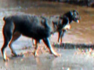 Album premières photos 066