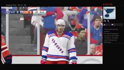 Nhl mascott havoc (84)