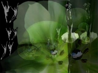 Entrez dans ma danse..........