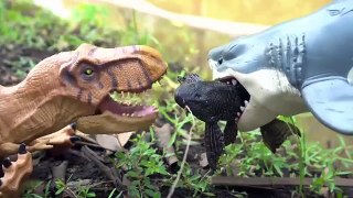 BoBoTV - My Dinosaurs Vs Shark Raven Food Innovation Scorpion