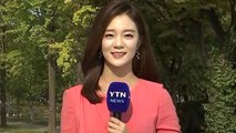 [날씨] 내일도 맑고 큰 일교차...도심 곳곳서 단풍 / YTN