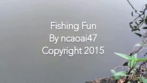 Howto Fishing - Picnic Fishing Fun - new - DIY - Fishing Tips - U80 Câu cá vui vẻ