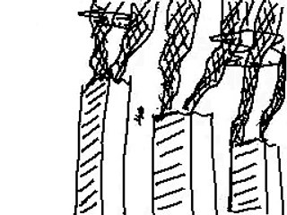 アナゴさんｖｓサザエさん