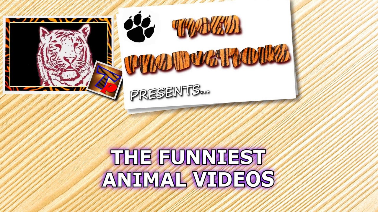 LAUGH UNSTOPPABLE at FUNNY ANIMALS - Super FUNNY ANIMAL videos
