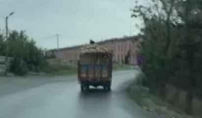 Kamyon üzerinde tehlikeli yolculuk
