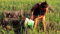 Amazing beautiful girl Throwing water fishing - How to Fishing at Battambang ( part 250)