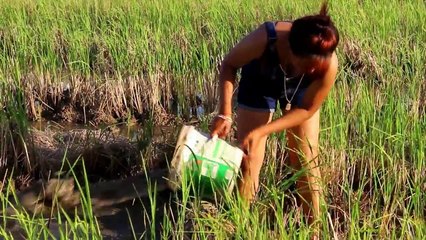 Amazing beautiful girl Throwing water fishing - How to Fishing at Battambang ( part 250)