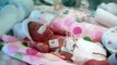 Premature baby micro preemie 23 weeks gestation
