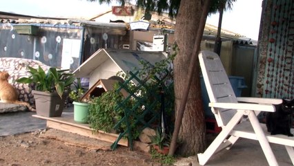 La pointe-courte quartier de SETE 34 . 10 / 2017