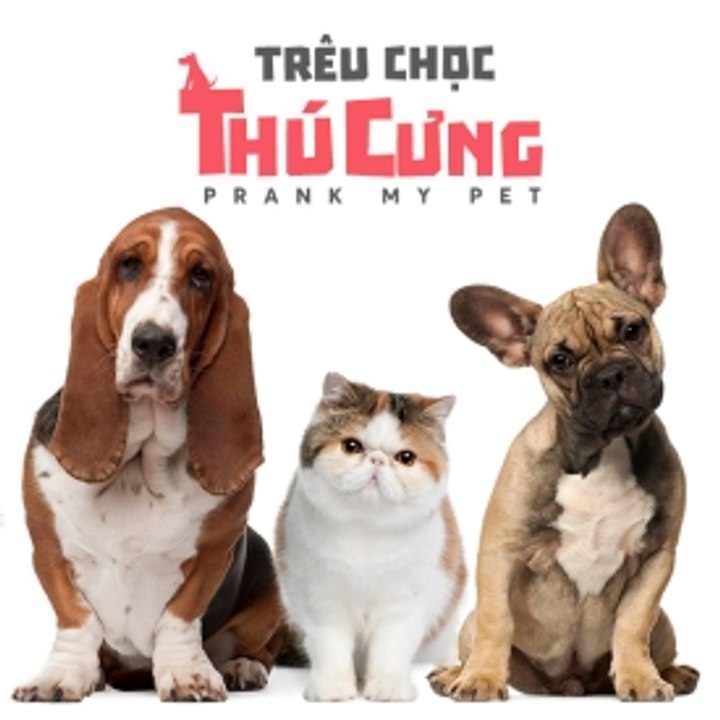 Trêu Chọc Thú Cưng |prank my pet|  Tập 1 Vietsub