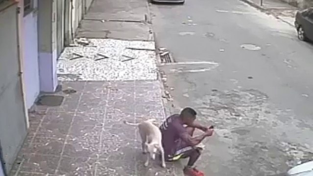 Cet homme se fait uriner dessus par un chien