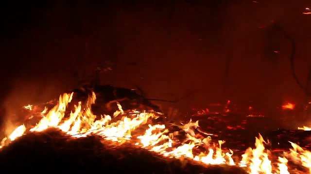 Continúan 105 incendios activos, 15 de ellos cerca de población