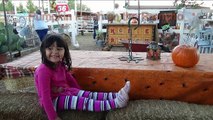 4 Year Old Went to Pumpkin Patch on the Rancho Farm Animals petting ZOO