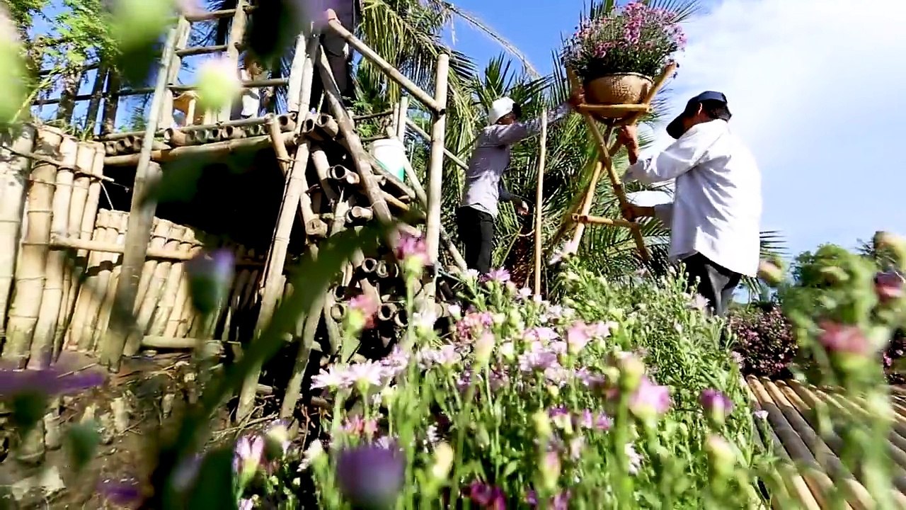 Màn cầu hôn cực ngọt ngào của chàng trai Việt với cô gái Lào