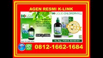 Jual Klorofil K-Link Surabaya, 0812-1662-1684(T-Sel)