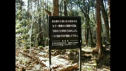 AOKIGAHARA  LA FORESTA DEI SUICIDI