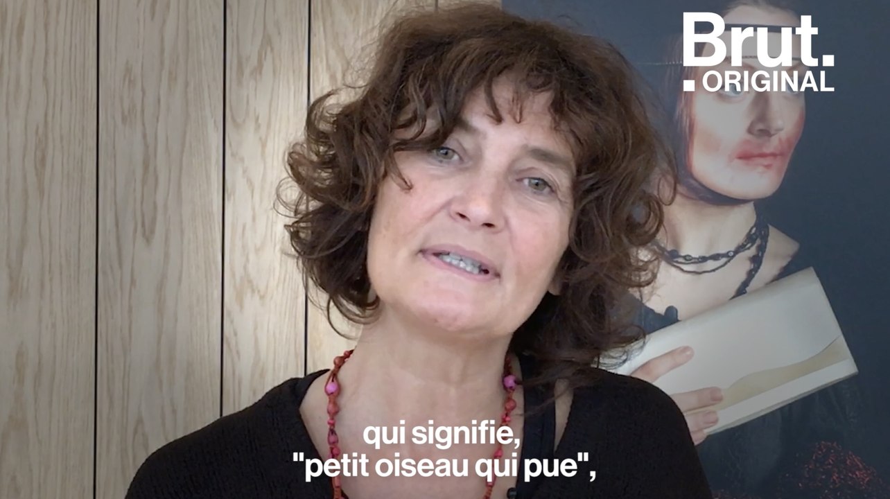 "Salope", "Chienne", "Pute"... que veulent dire ces insultes sexistes ?