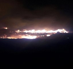 1 Hektarlık Alan Kül Oldu