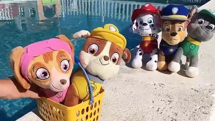 Patrulla Canina español y LA FIESTA ACUÁTICA EN LA PISCINA CON COCODRILO Y TIBURÓN/capitulo 87