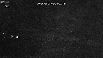 spider makes a web over camera lens