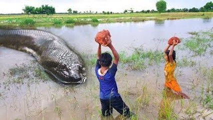 Amazing Fishing With Hook in The Canal - Two Children Catch Two Fish With Hook