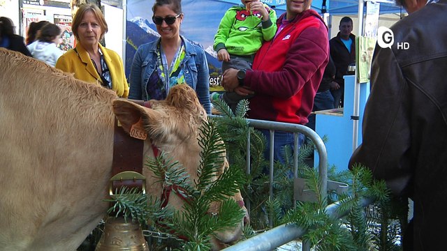 Le ZAP - Descente des Alpages : 7e édition !