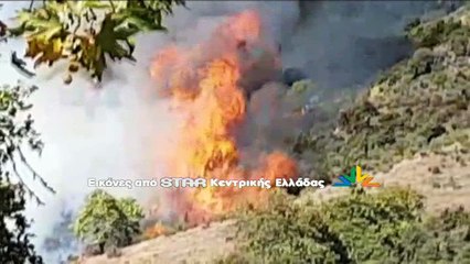 Φωτιά στο Κεφαλόβρυσο
