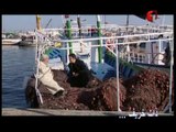 وثائقي مع المرحوم الطاهر الشريعة بميناء الصيد البحري بصيادة