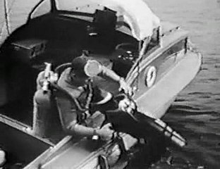 Sea Hunt 1x11 Killer Whale