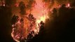Incendies : de gigantesques flammes au Portugal et en Espagne
