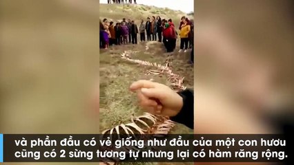 Sự thật hình ảnh tìm thấy “xác rồng” khiến cả làng hoang mang cực độ