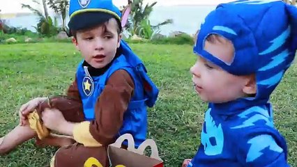 PAW PATROL Nickelodeon Assistant CATBOY Searches For Marshal Chase Pups Eat McDonalds PJ Masks