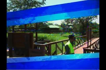 DOMINICAL-15-OCTUBRE-2017