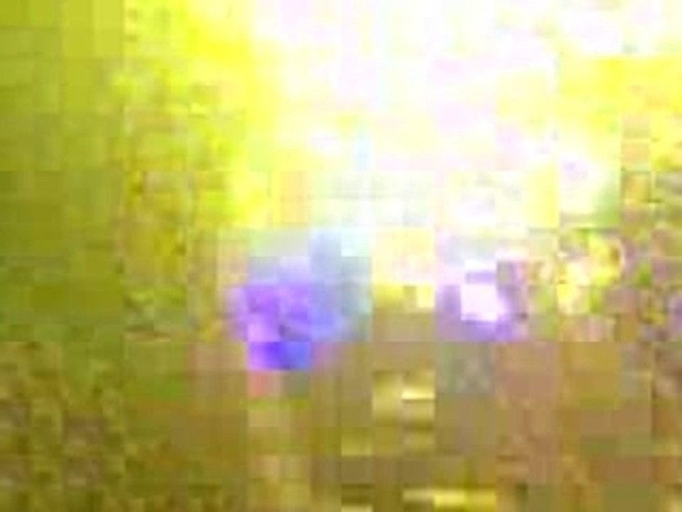 Tryo Arras : L'hymne de nos campagnes