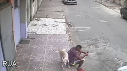 Un chien pisse sur un homme