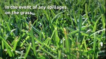 How To Manage Artificial Grass Lawns in Nottingham