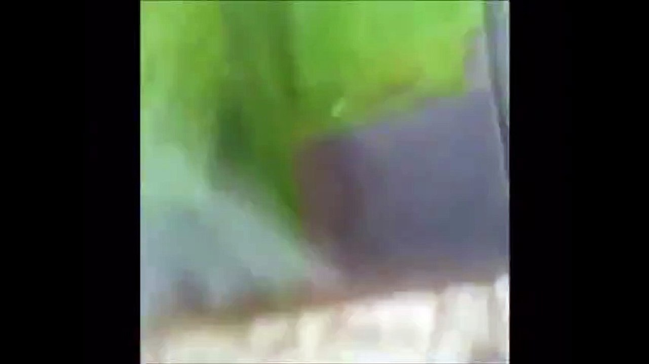 Roof Blows Off School Gym as Ophelia Hits Southern Ireland